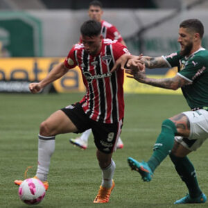 Calleri-221016b