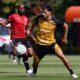 Calleri