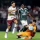 Calleri